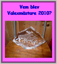 Text Box: Vem blev Valexmstare 2010?

